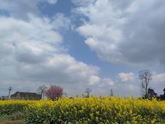 -中国天府农业博览园