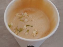-Seesaw Coffee(上海国金中心店)