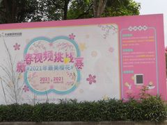 -天适樱花悠乐园