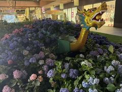 -瑞虹新天地月亮湾