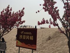 -古柏渡飞黄旅游区