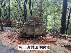 -广州白江湖森林公园