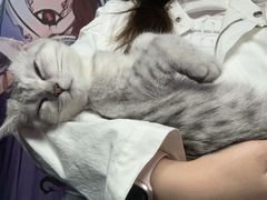 -无趣桌游狼人杀店