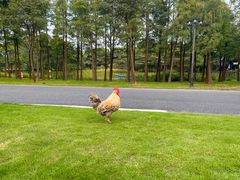 -森波拉奇妙世界