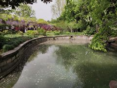 -嘉定紫藤园