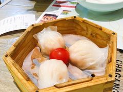 虾饺-茶港·点心·啫啫煲(范湖万达广场店)
