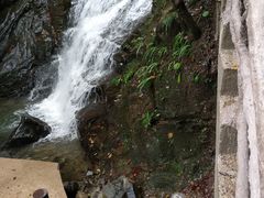 -藏龙百瀑风景区