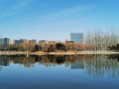 -大兴滨河森林公园