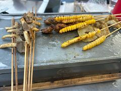 -河南前程·羊肉汤·烧烤(总店)