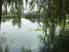-前关湿地公园