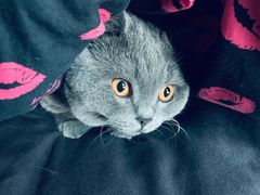 -KKV(深圳宏发大仟里店)