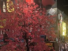 -白石的深夜食堂(济南万象城店)