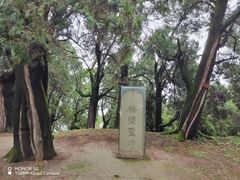 -黄帝陵