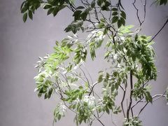 -百富源·海鲜辽菜(张士店)