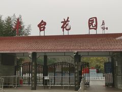 -丰台花园