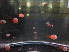 -常州海昌海洋探索馆