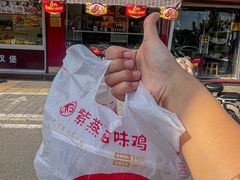 -紫燕百味鸡(明湖店)