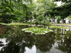 -北海道厅旧本厅舍(旧本庁舎)