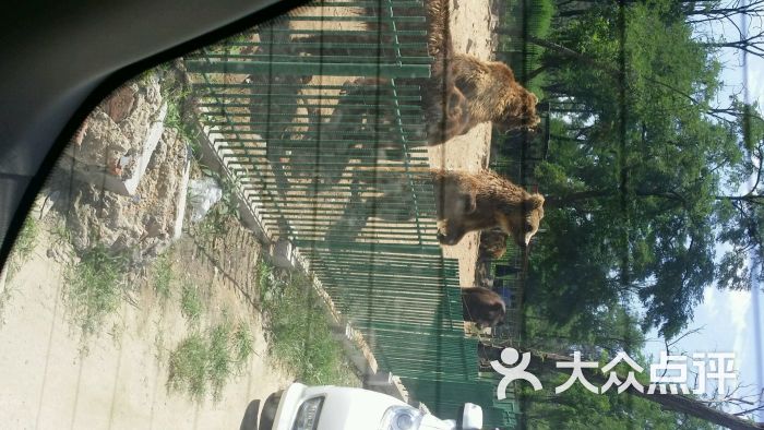 秦皇島野生動物園圖片 - 第9張