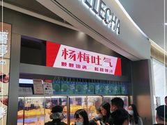 -LELECHA乐乐茶(新街口大洋店)