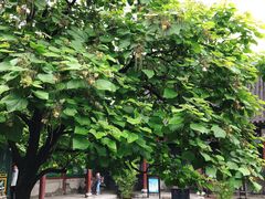 -张学良旧居陈列馆