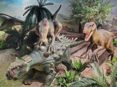 -国家自然博物馆