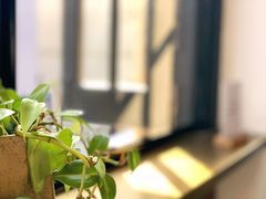 -思南书局(复兴中路店)