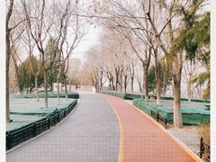 -大兴滨河森林公园