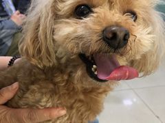 -宠颐生中康贝怡动物医院