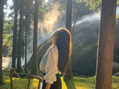 -玉苍山国家森林公园
