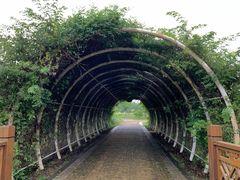 -同里国家湿地公园