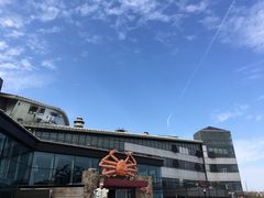 -蟹之国·精品蟹料理(极地店)