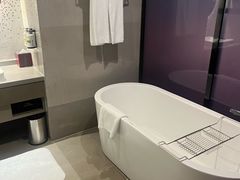 -南京禄口机场雅高铂尔曼大酒店