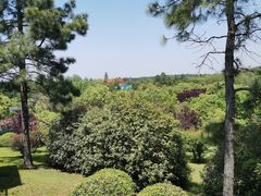 -天生桥景区