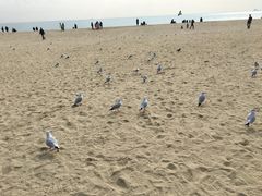 -海云台海滩