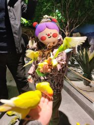 -酷嗒动物文化乐园(cutezoo西溪乐天城店)