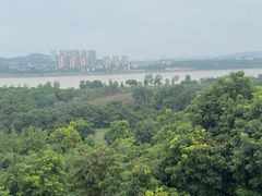 -张坝桂圆林公园