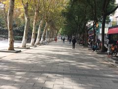 -水果湖儿童公园