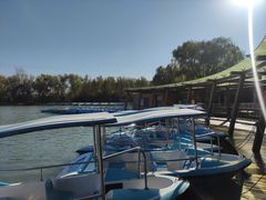 -昆山城市生态森林公园