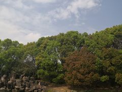 -白马涧龙池景区