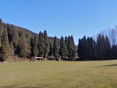 -武陵山森林公园