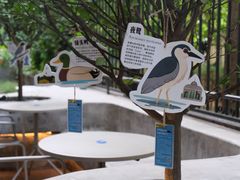 -大小咖啡 BigSmallCoffee(麦子店)