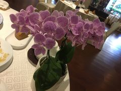 兰花-顺峰海鲜酒楼(省府店)