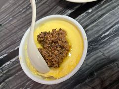 绍子蒸蛋-西月城谭豆花(春熙路店)