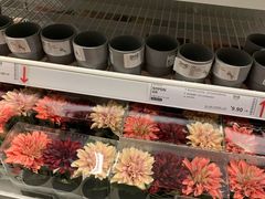 -宜家家居(哈尔滨商场店)