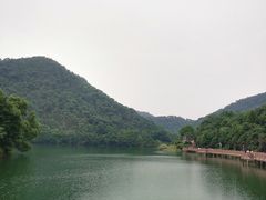 -桃花岭景区