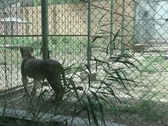 -新疆天山野生动物园