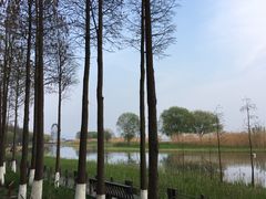 -太湖湖滨国家湿地公园-停车场