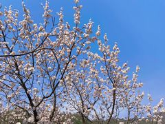 -居庸关长城