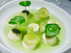 -Tomacado花厨(One ITC店)